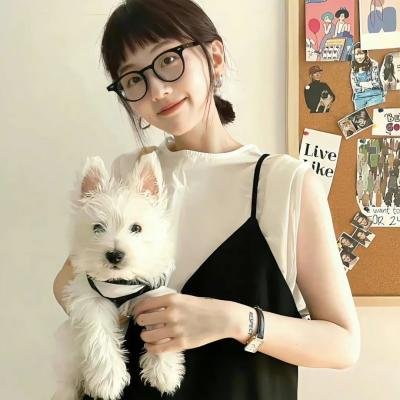 派特森与芬达猫