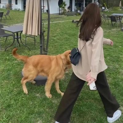 杰克·莱恩第四季